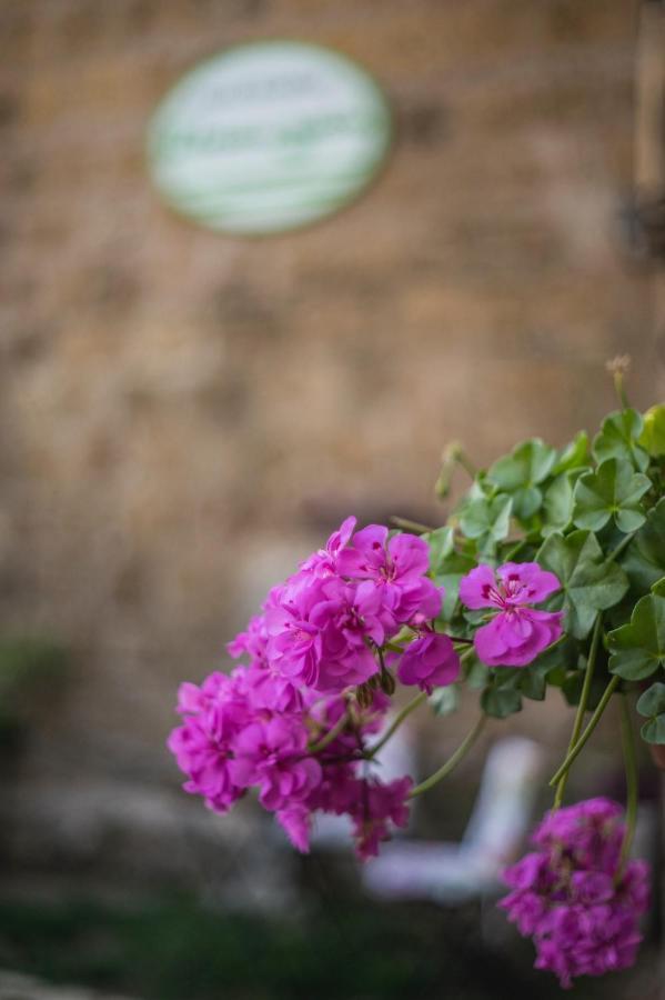 B&B Etruscan Garden Sutri Ngoại thất bức ảnh