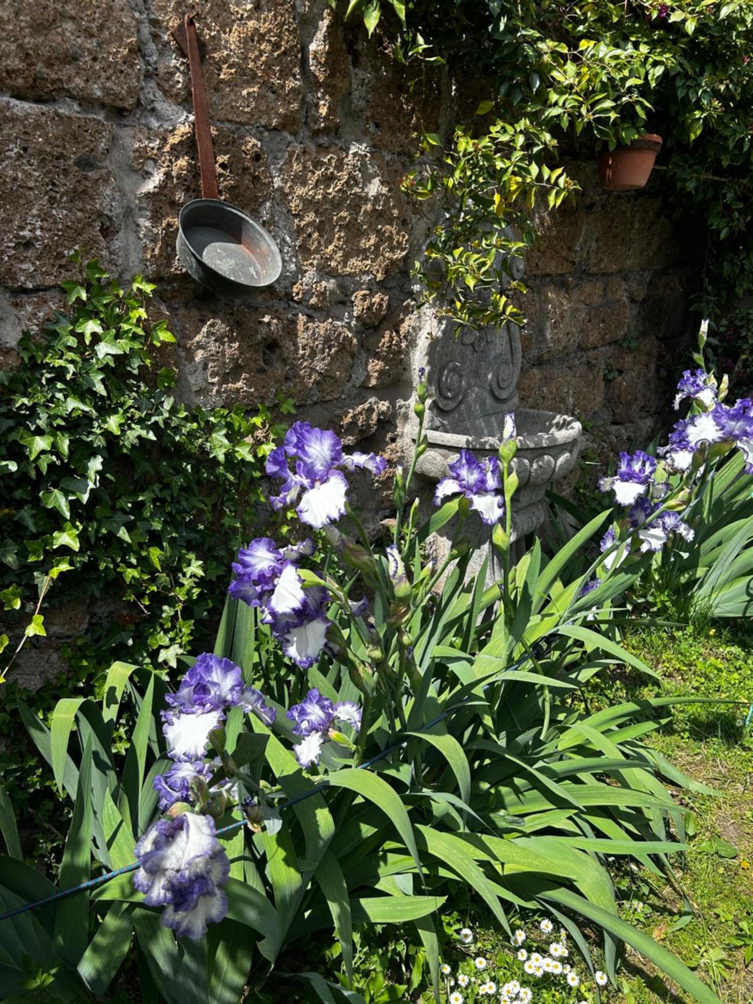 B&B Etruscan Garden Sutri Ngoại thất bức ảnh